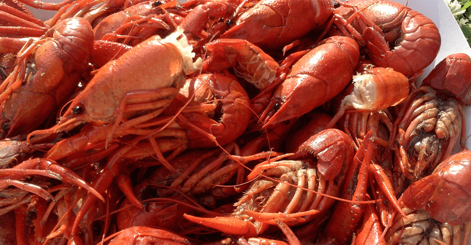 Boiled crawfish