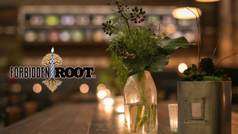 Forbidden Root One Year Anniversary